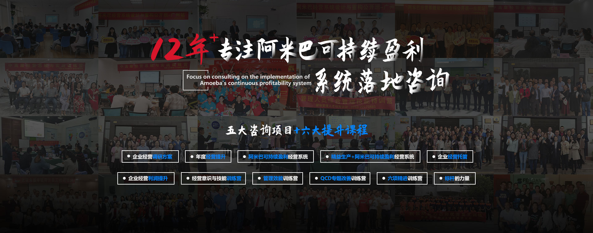 12年+專注阿米巴可持續(xù)盈利系統(tǒng)落地咨詢